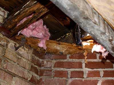 Keep Rain Water Out of Your Chimney